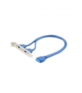Câble Panneau Arrière 2 x USB iggual IGG311707 3.0 0,45 m