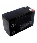 Salicru Batterie pour Slc-3000 Twin 12Vcc 7Ah