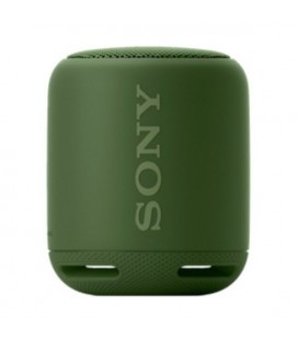 Haut-parleurs bluetooth portables Sony SRSXB10G USB Vert