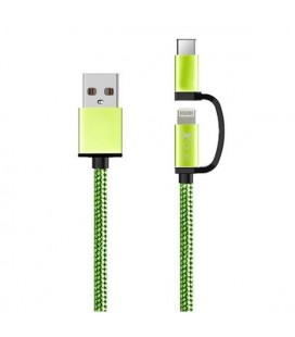 Câble USB pour iPad/iPhone Ref. 101110 Vert