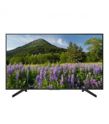 TV intelligente Sony KD49XF7096 48,5"" 48,5"" 4K Ultra HD LED HDR Noir