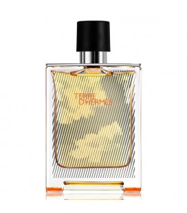 Parfum Homme Terre D'hermès Hermes EDT (100 ml)