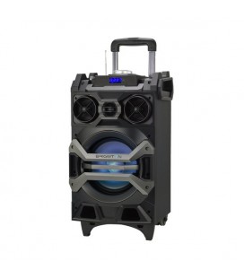 Haut-parleurs bluetooth portables BRIGMTON BAP-750 Bluetooth 3.0 3500 mAh 750W Noir