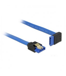 Câble SATA DELOCK 84996 30 cm Bleu