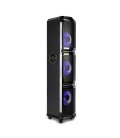 Tour sonore bluetooth NGS WILDTRAP-3 Bluetooth 600W Noir