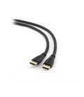Câble DisplayPort GEMBIRD CC-DP2-10 3 m Noir